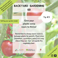 Give your plants some room to thrive BYG 13